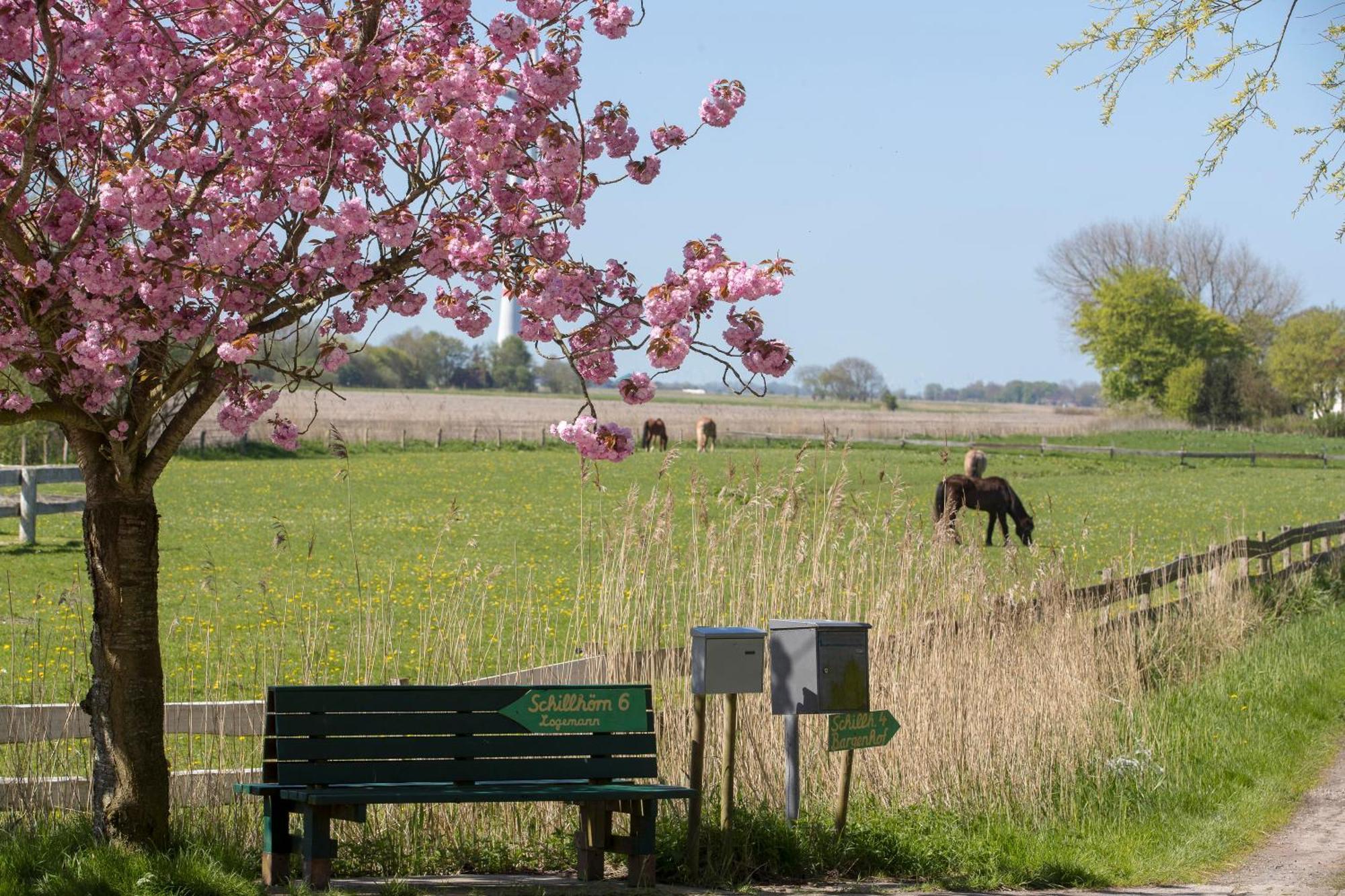 Fischerhaeuschen Am Kurpark Neuharlingersiel Zewnętrze zdjęcie